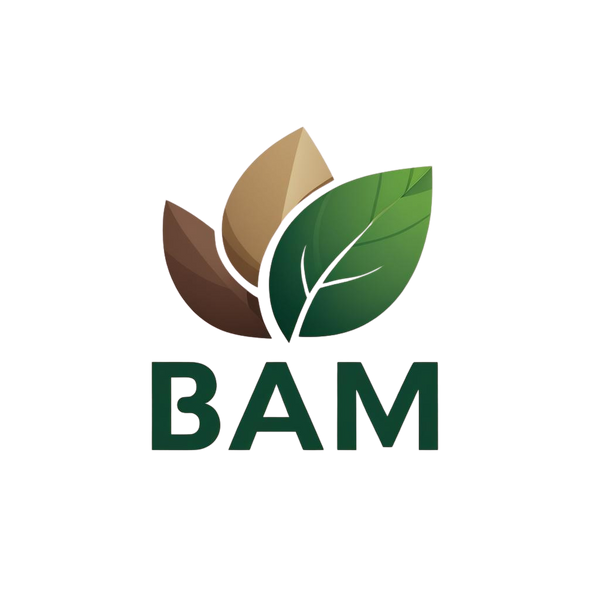 BAM POS Paper